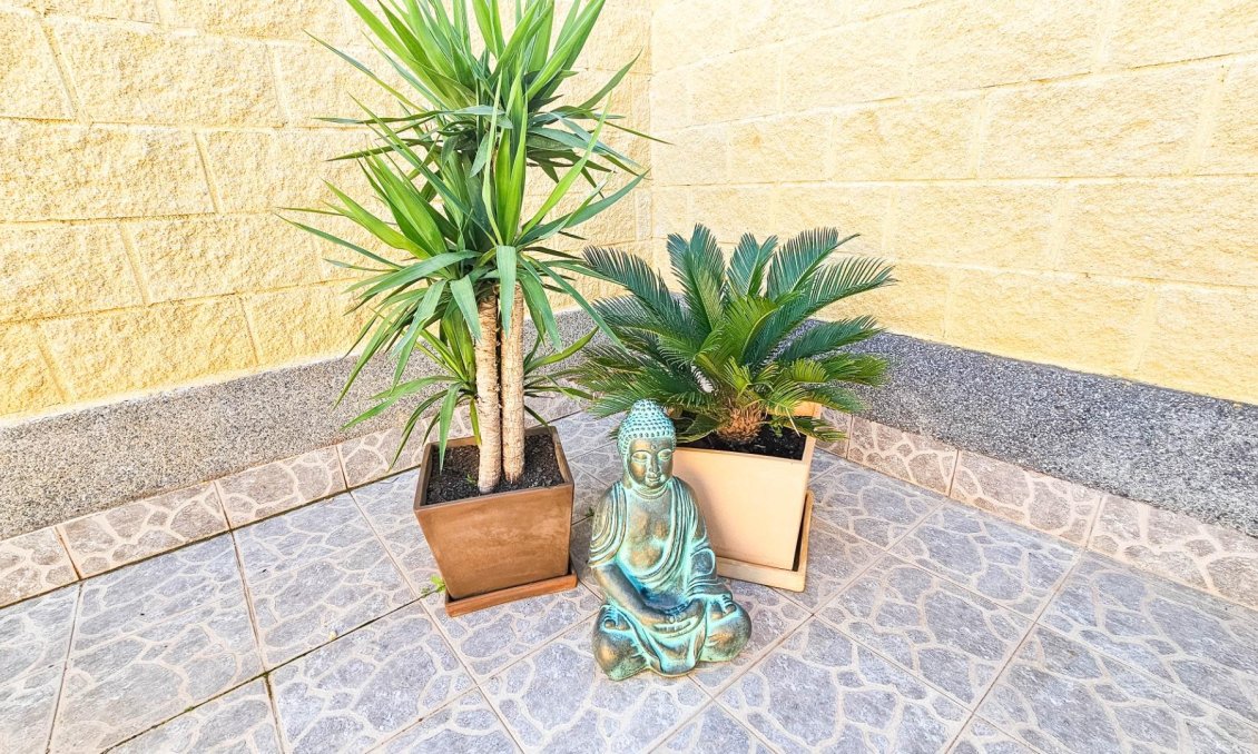 Revânzare - Town House -
Torrevieja - El Limonar