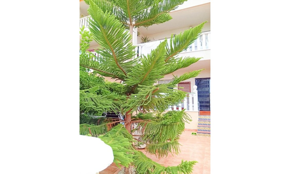 Resale - Bungalow -
Orihuela Costa - Lomas De Cabo Roig-los Dolses