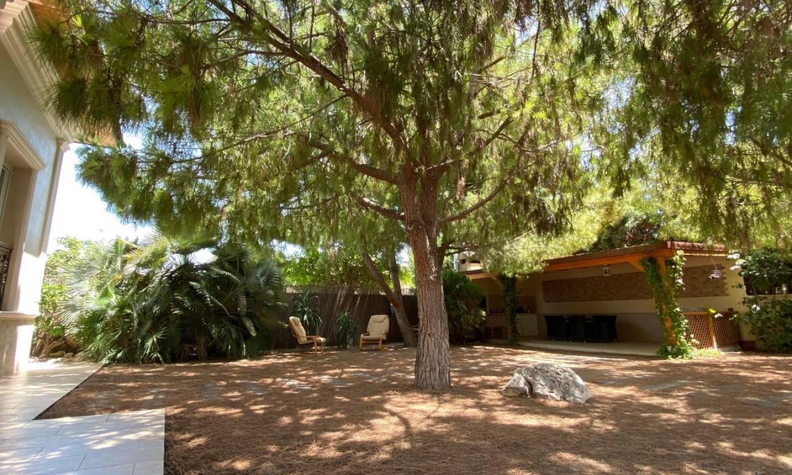 Használt Ingatlanok - Villa -
Benijofar - Ciudad Quesada