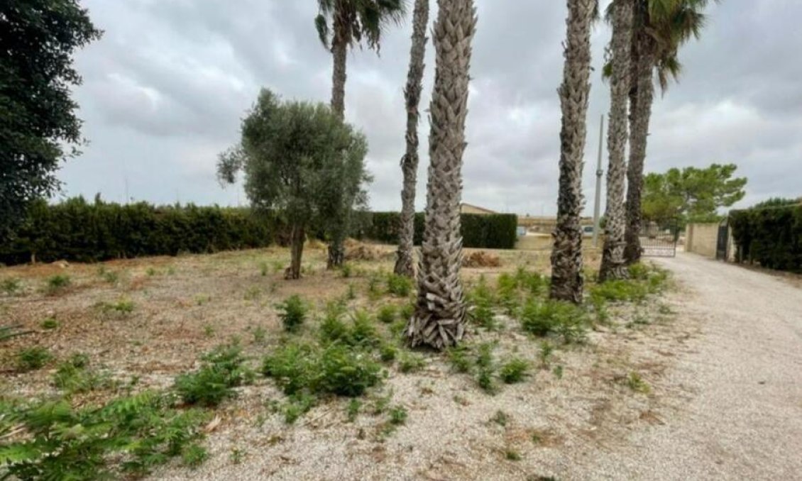 Wiederverkauf - Villa -
Daya Vieja - Costa Blanca