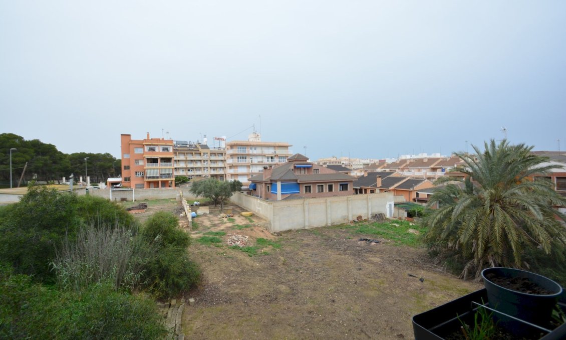 Használt Ingatlanok - Apartman -
Guardamar del Segura - Costa Blanca