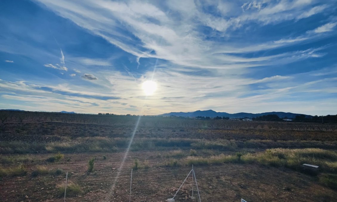 Wiederverkauf - Villa -
Pinoso - Inland