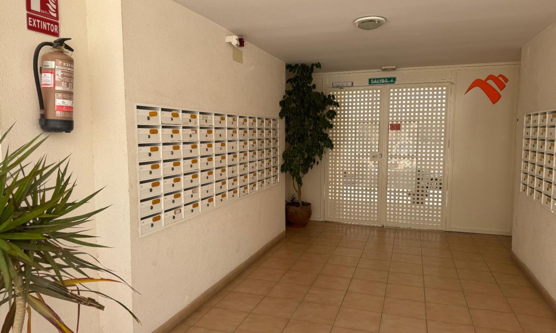 Segunda mano - Apartamento -
Almoradí - Inland