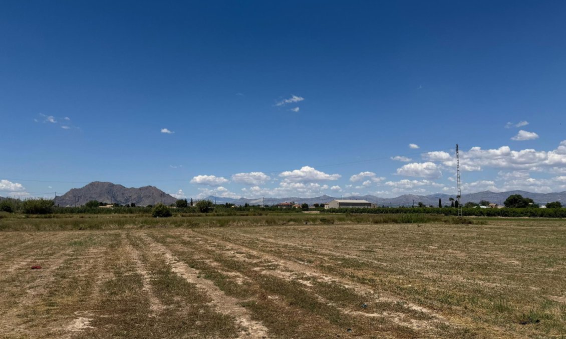 Segunda mano - Apartamento -
Almoradí - Inland