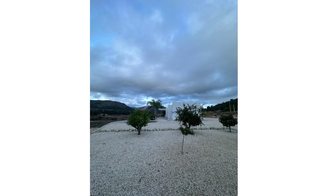 Wiederverkauf - Villa -
Pinoso - Inland