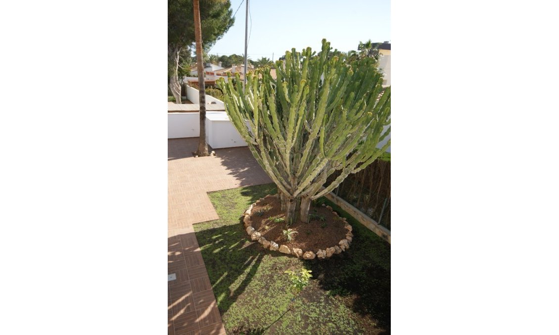 Használt Ingatlanok - Villa -
Cabo Roig - Costa Blanca