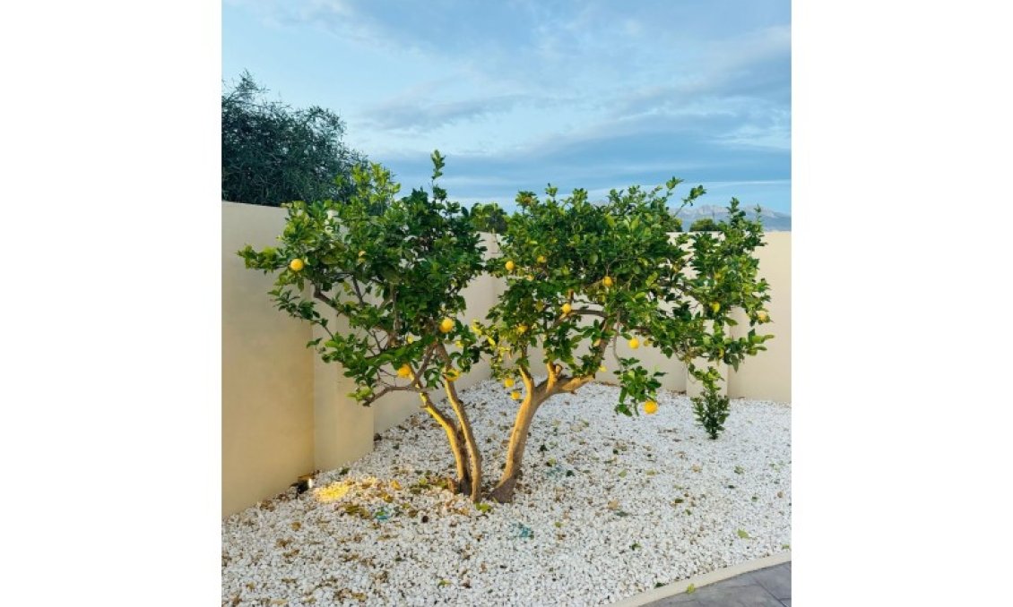 Revente - Villa -
Alfas del Pí - Costa Blanca