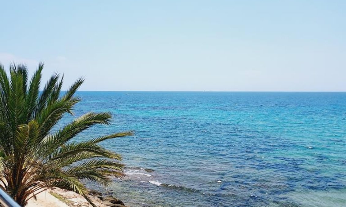 Resale - Apartment -
Torrevieja - Punta Prima