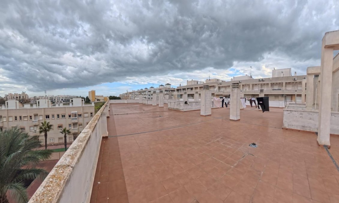 Segunda mano - Apartamento -
Torrevieja - Centro