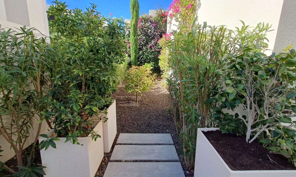 Resale - Villa -
Algorfa - Inland