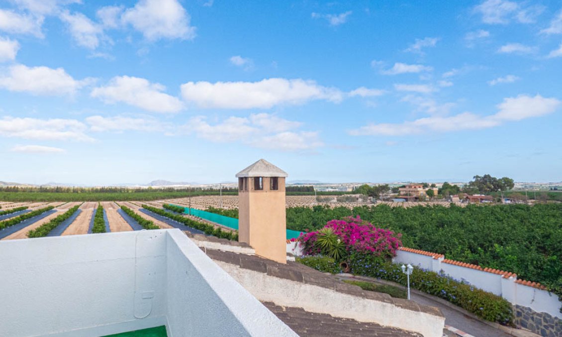 Revânzare - Vilă -
San Miguel de Salinas - Inland