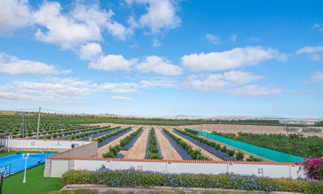 Revânzare - Vilă -
San Miguel de Salinas - Inland