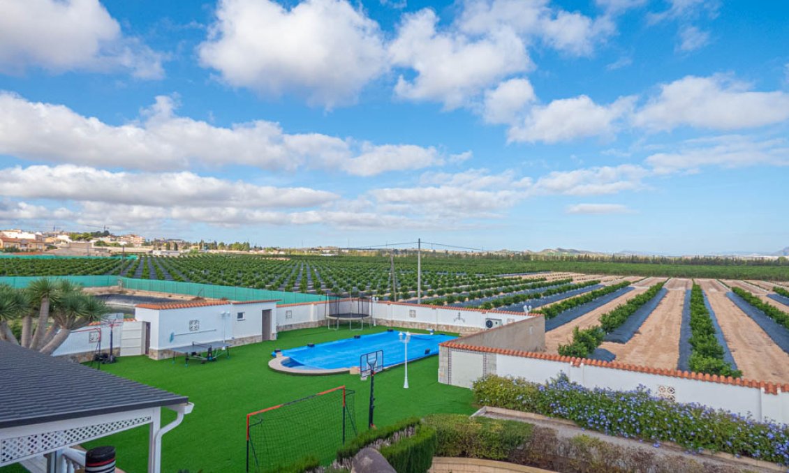 Revânzare - Vilă -
San Miguel de Salinas - Inland