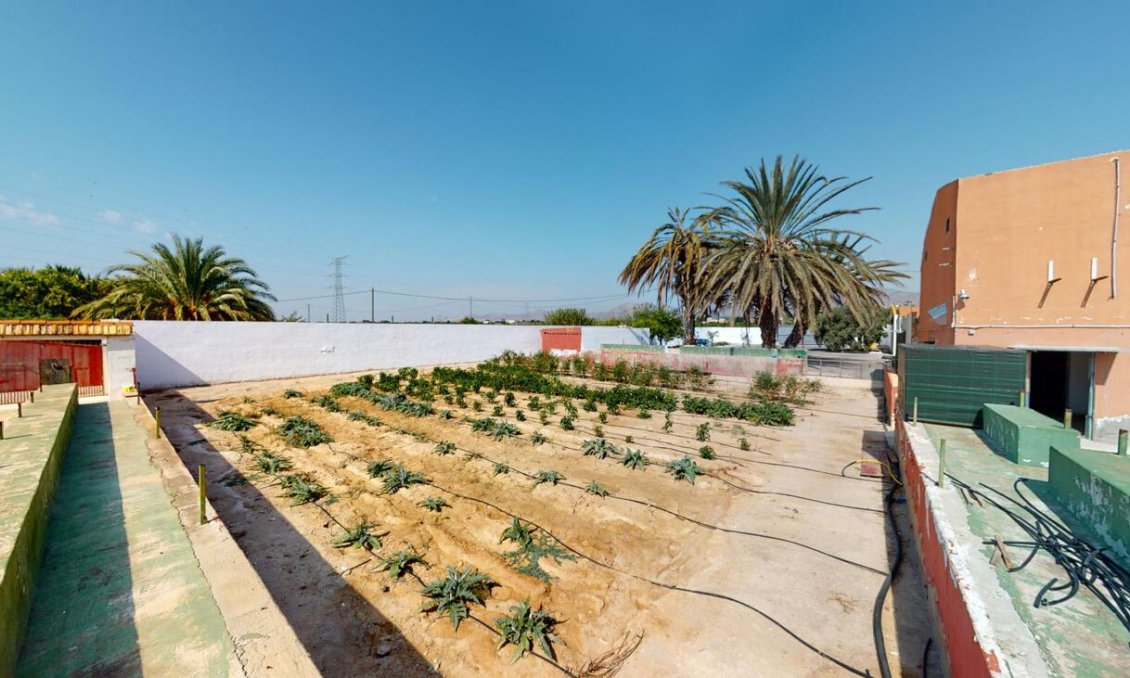 Wiederverkauf - Town House -
Albatera - Inland