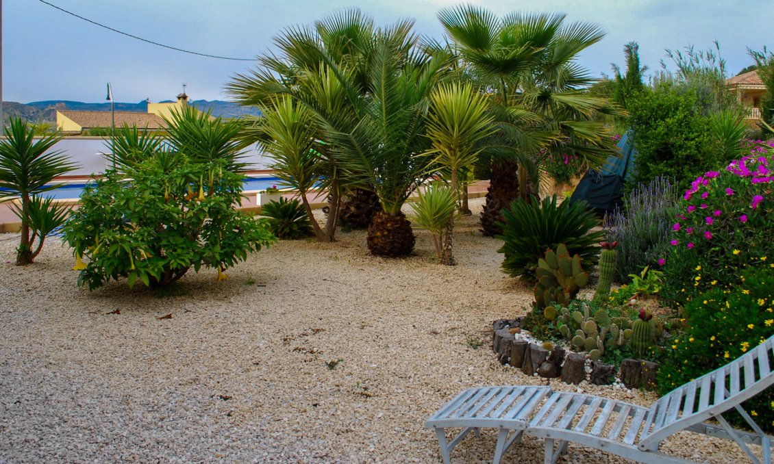 Wiederverkauf - Villa -
Pliego - Inland