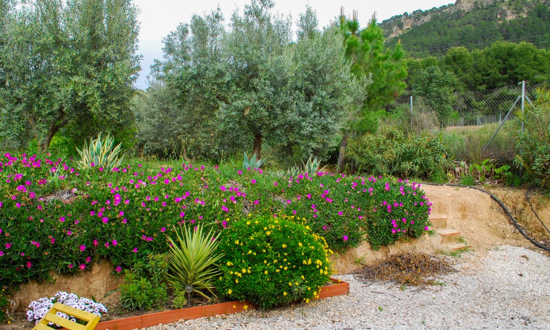 Wiederverkauf - Villa -
Pliego - Inland