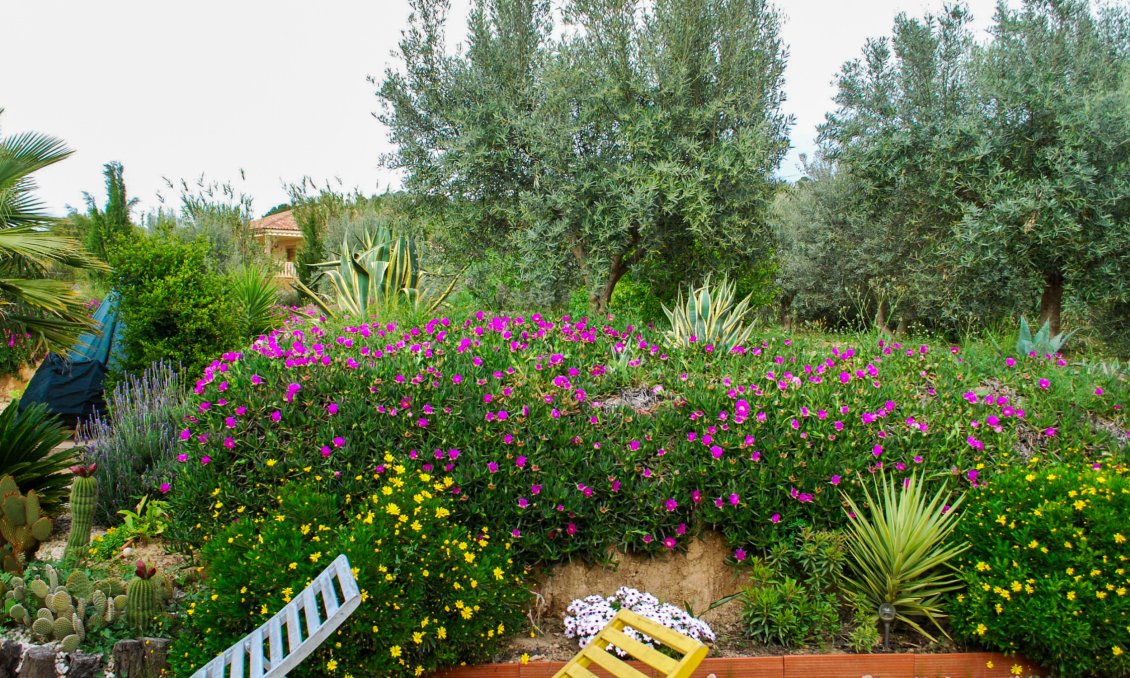 Wiederverkauf - Villa -
Pliego - Inland