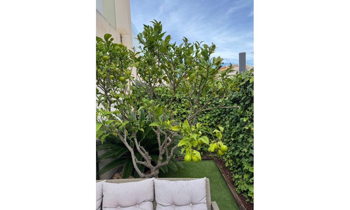 Revente - Town House -
Torrevieja - Punta Prima