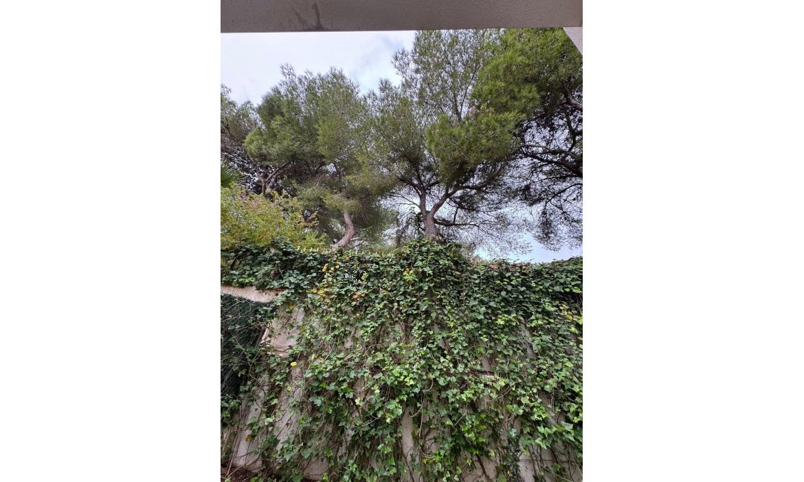 Revente - Town House -
Torrevieja - Punta Prima