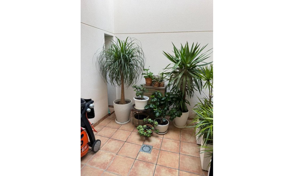 Revente - Town House -
Torrevieja - Punta Prima