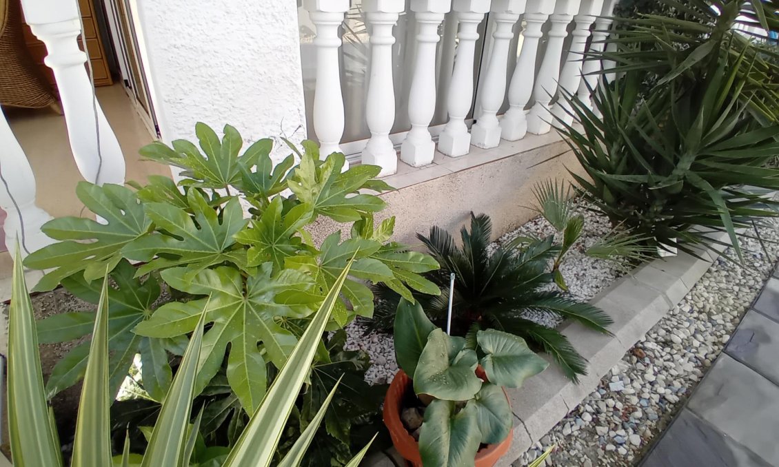 Használt Ingatlanok - Villa -
Mazarron - Camposol