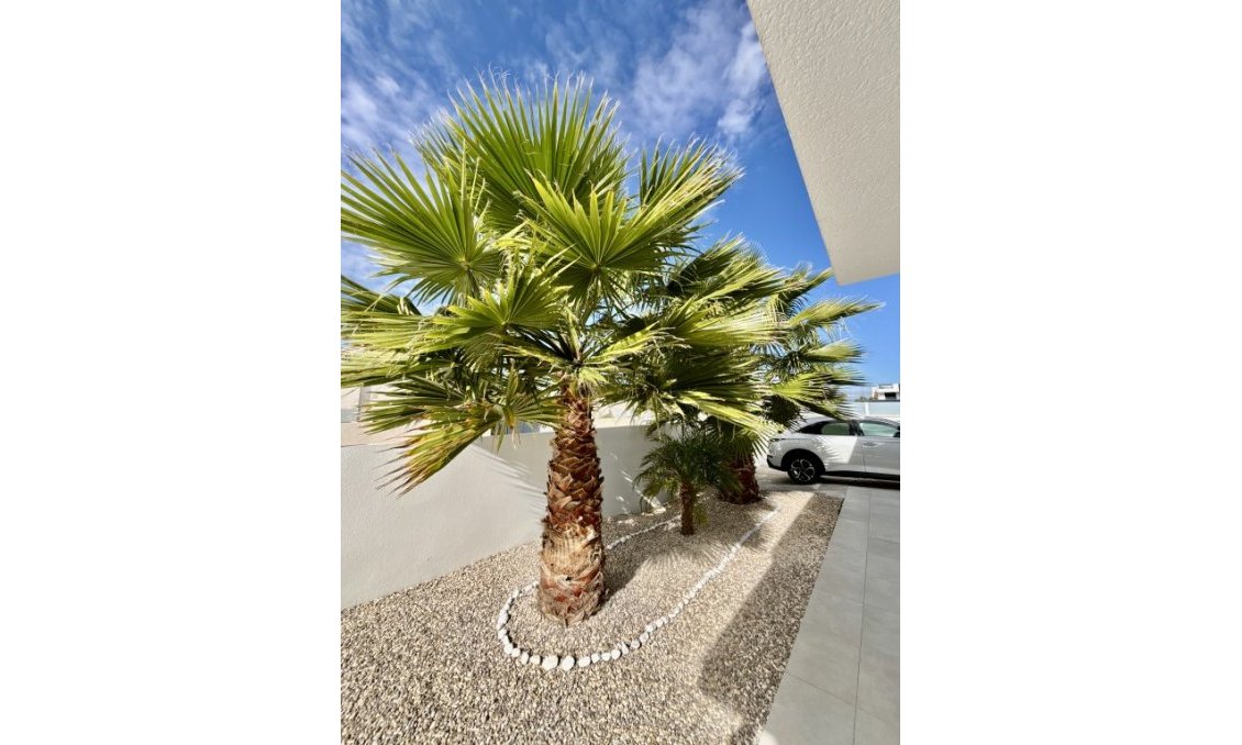 Resale - Villa -
Benijofar - Costa Blanca