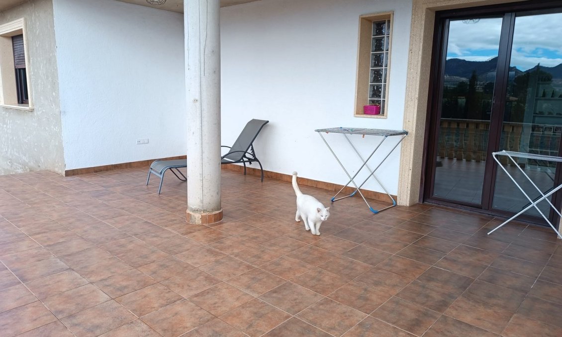 Használt Ingatlanok - Villa -
Yecla - Inland