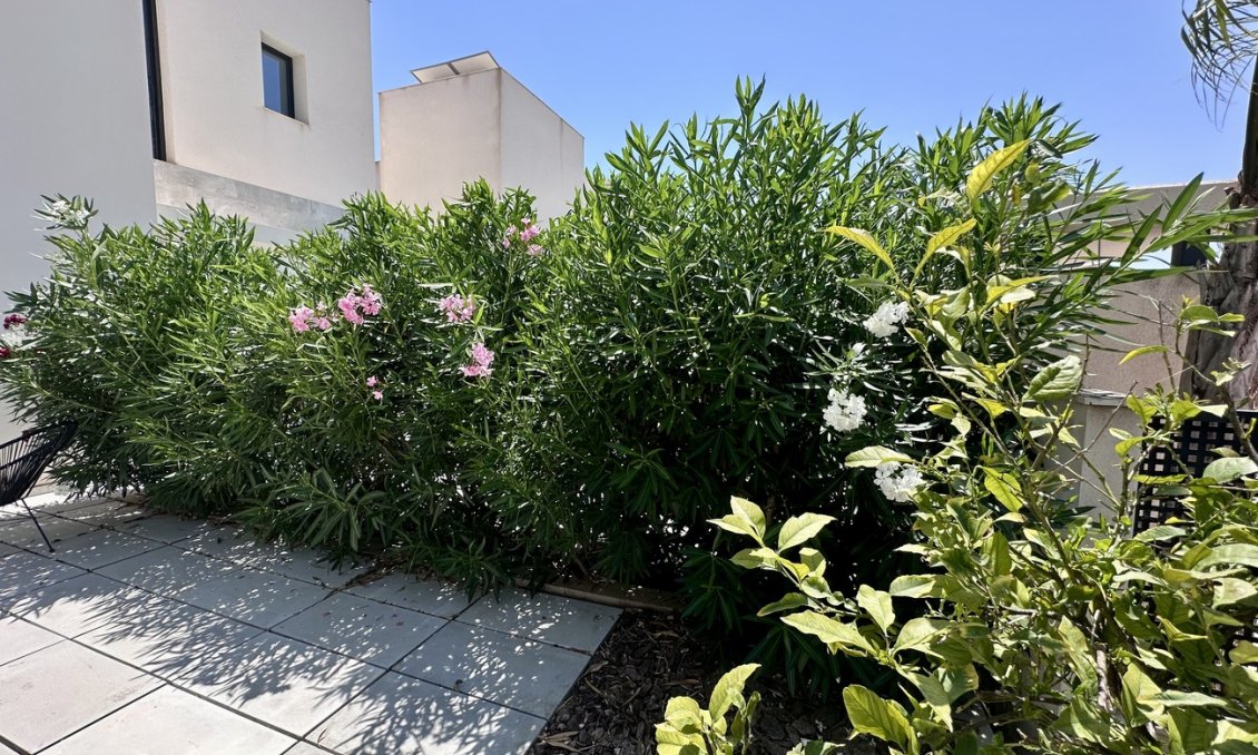 Revente - Villa -
Rojales Hills - Costa Blanca