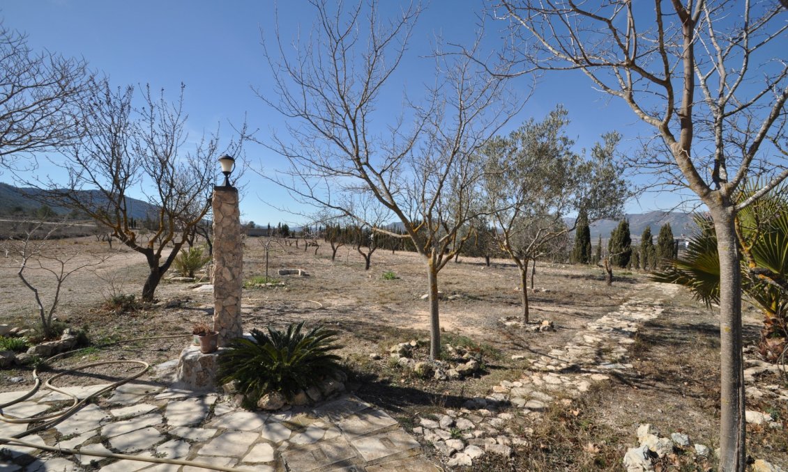 Használt Ingatlanok - Villa -
Salinas - Inland