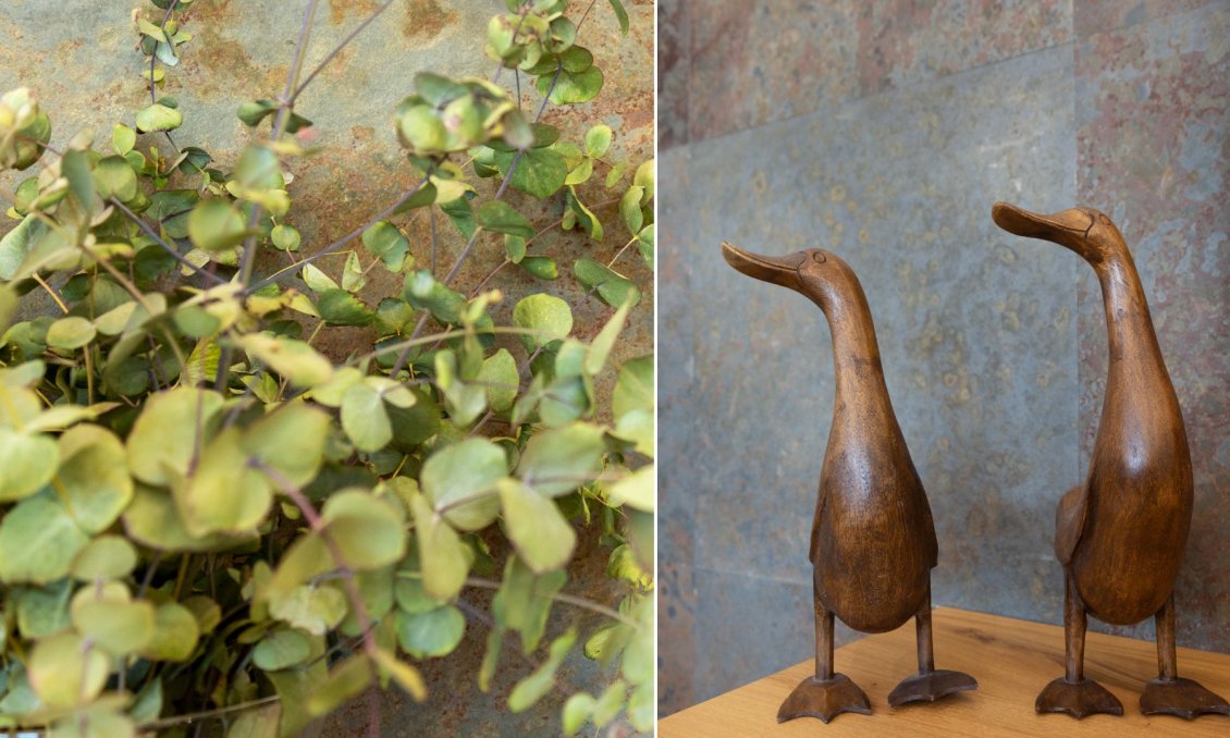 Wiederverkauf - Villa -
San Vicente del Raspeig - Inland