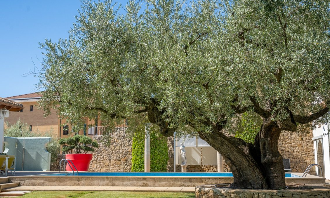 Revânzare - Vilă -
Alcoy - Inland