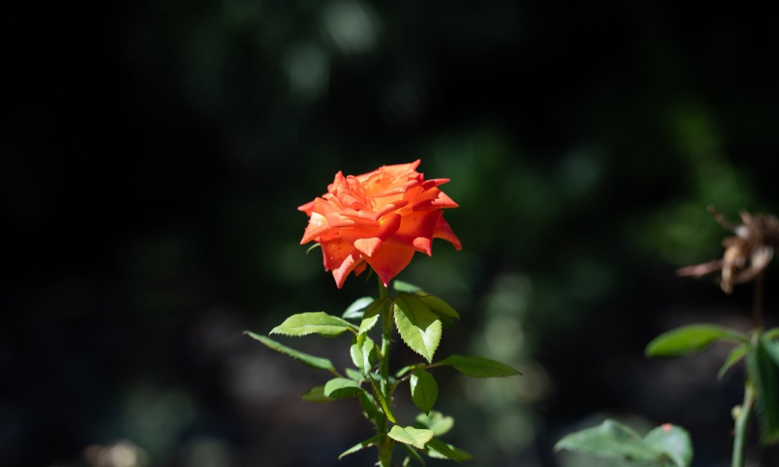 Revânzare - Vilă -
Alcoy - Inland