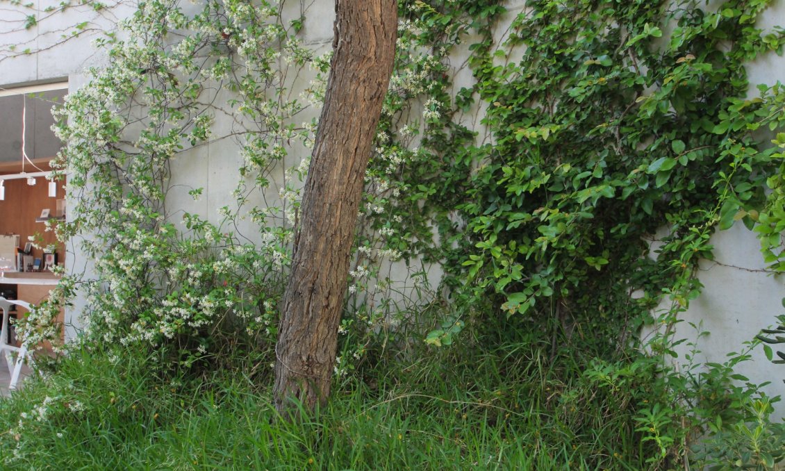 Wiederverkauf - Villa -
San Vicente del Raspeig - Inland