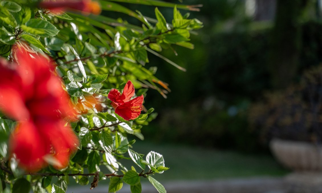 Resale - Villa -
Alicante - Costa Blanca