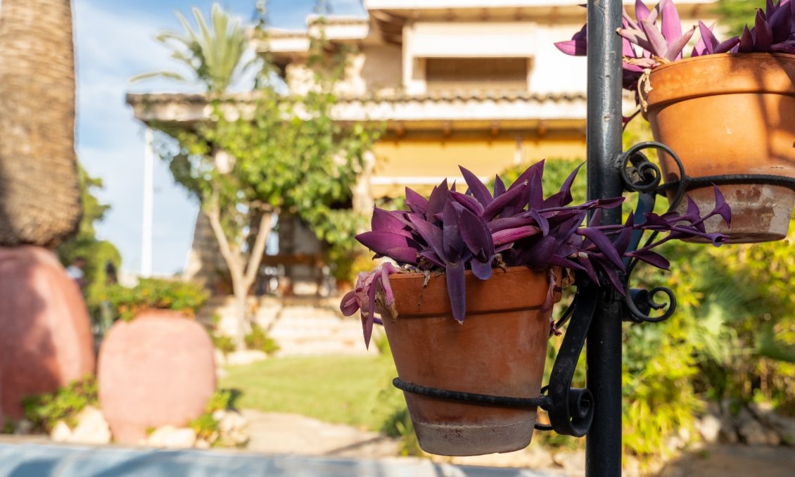 Resale - Villa -
Alicante - Costa Blanca