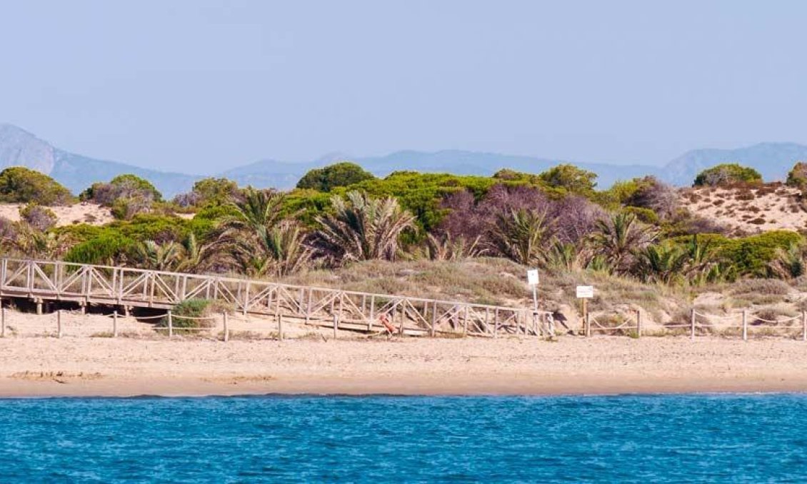 Obra nueva - Apartamento -
Guardamar del Segura - Pueblo