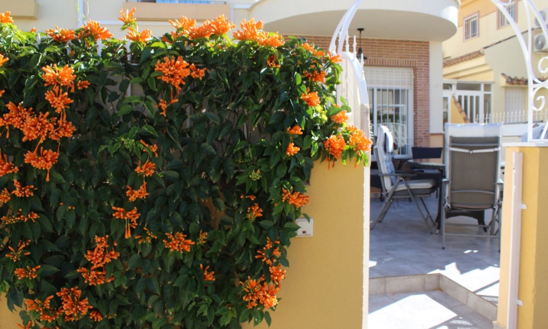 Wiederverkauf - Villa -
Villamartin - Costa Blanca