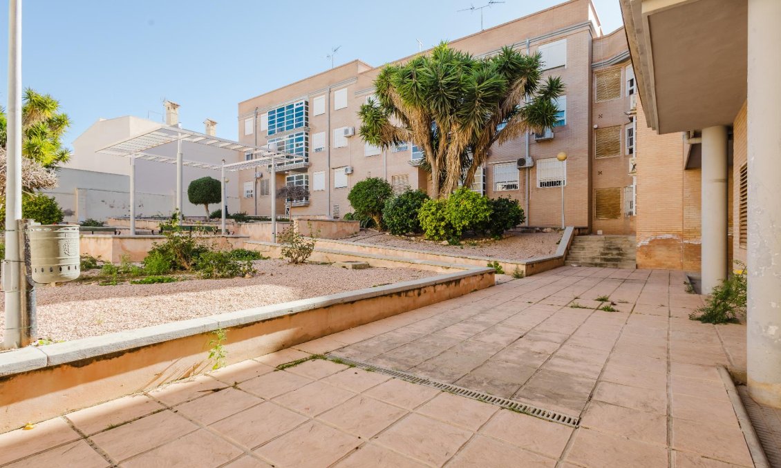 Resale - Apartment -
San Miguel de Salinas - Inland