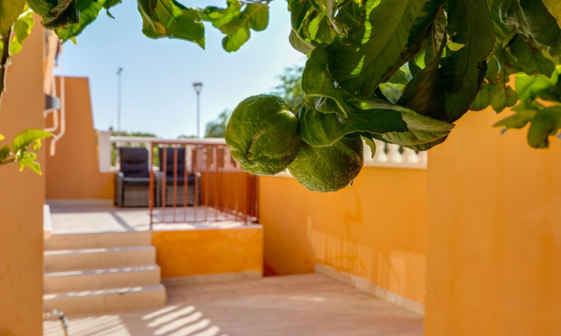 Revente - Bungalow -
Torrevieja - Aguas Nuevas