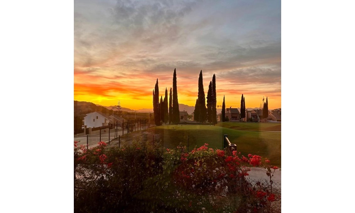 Revente - Villa -
Algorfa - Inland