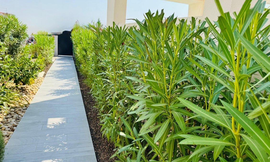 Resale - Villa -
Algorfa - Club De Golf La Finca