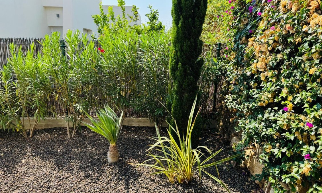 Resale - Villa -
Algorfa - Club De Golf La Finca