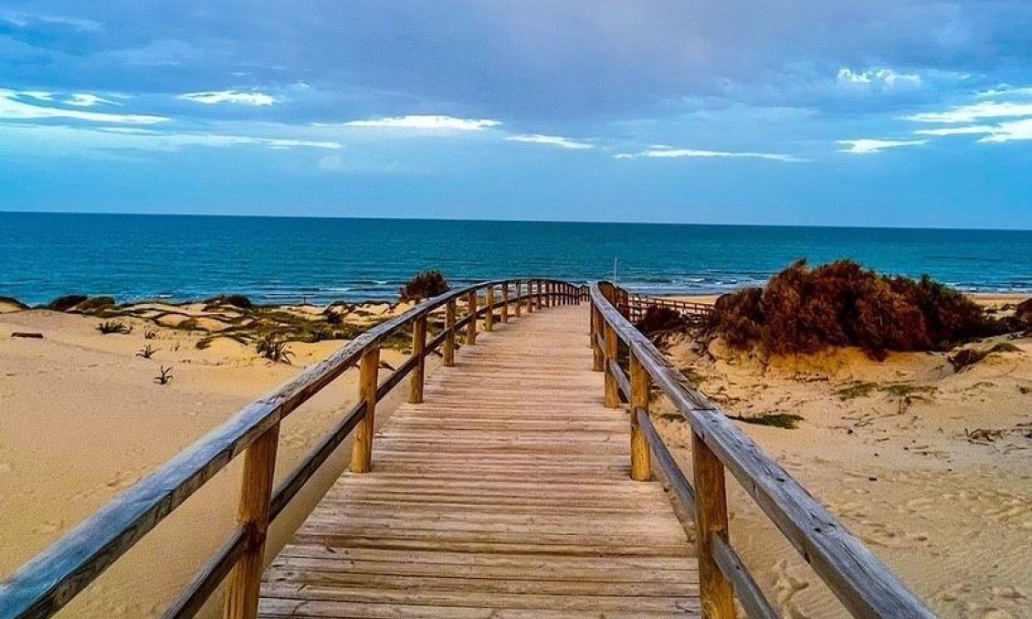 Resale - Villa -
Algorfa - Club De Golf La Finca