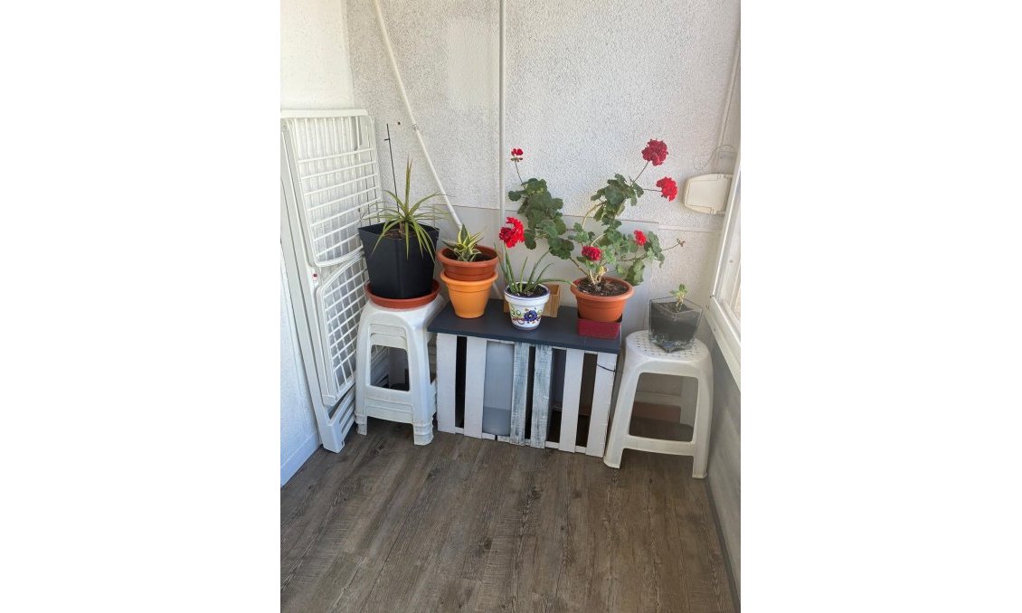 Segunda mano - Apartamento -
Torrevieja - Centro