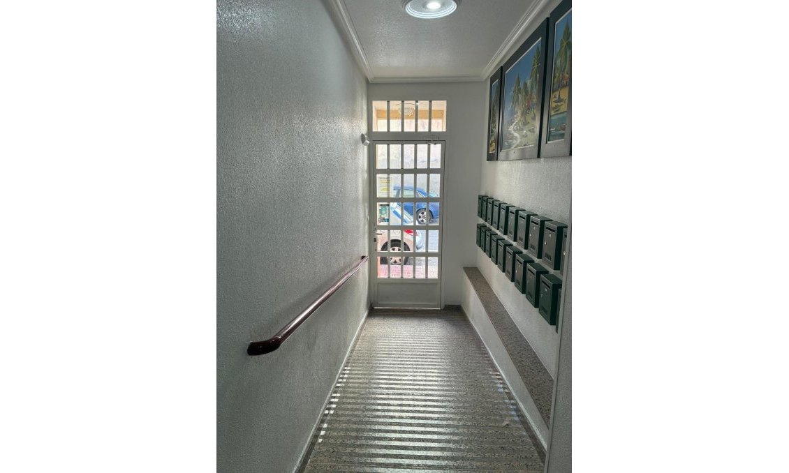 Segunda mano - Apartamento -
Torrevieja - Centro