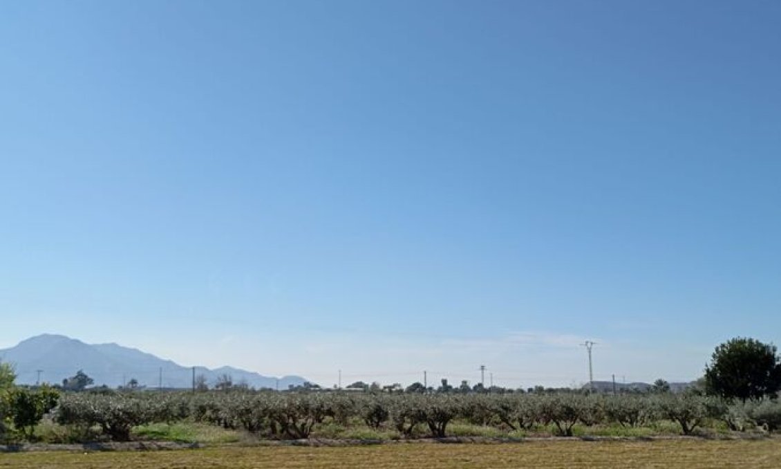 Segunda mano - Town House -
Catral - Costa Blanca