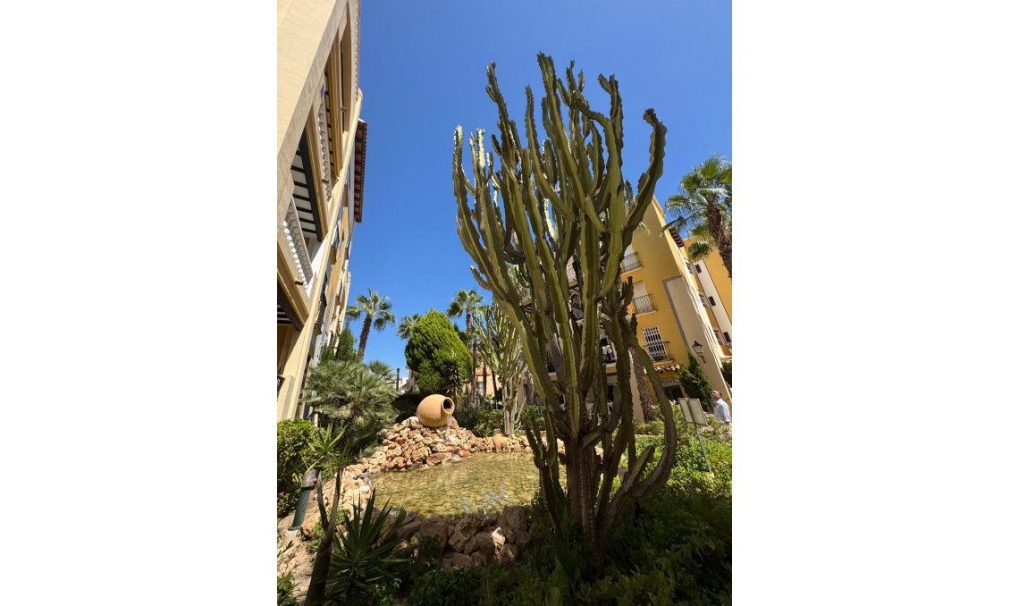 Használt Ingatlanok - Tetőtéri lakás -
Torrevieja - Los Frutales