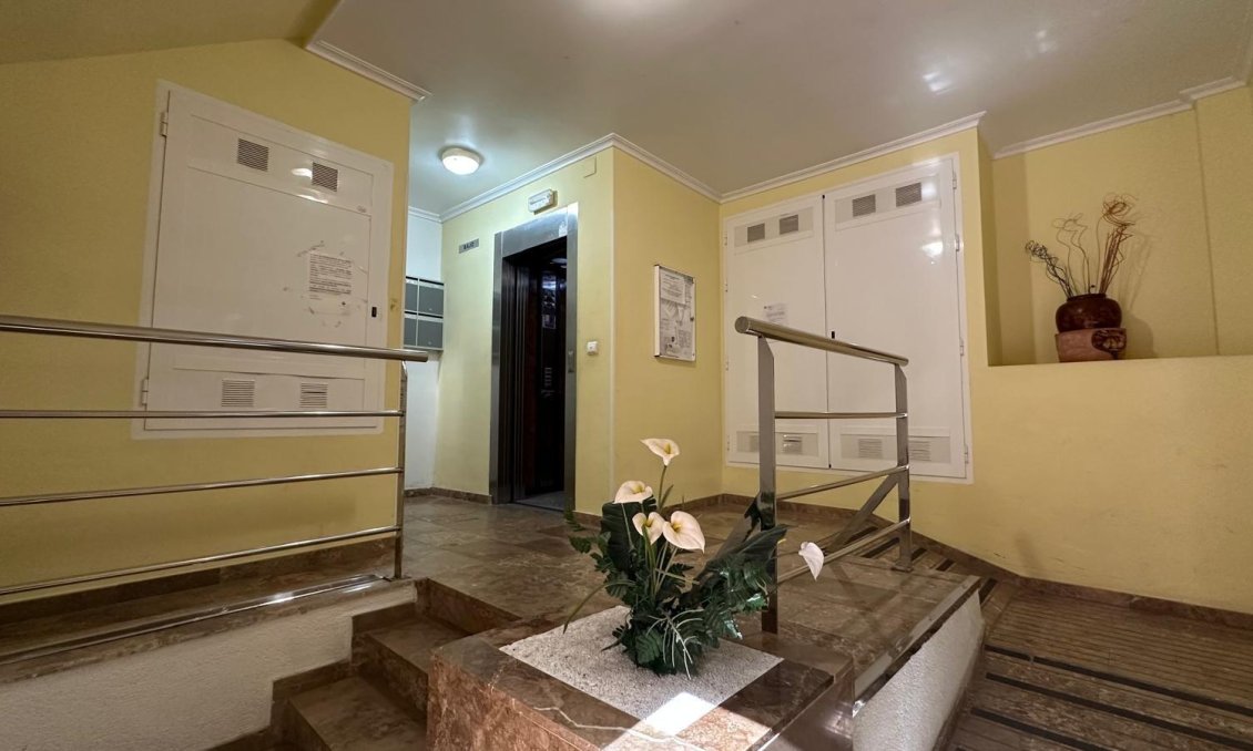 Használt Ingatlanok - Apartman -
Torrevieja - Estacion De Autobuses