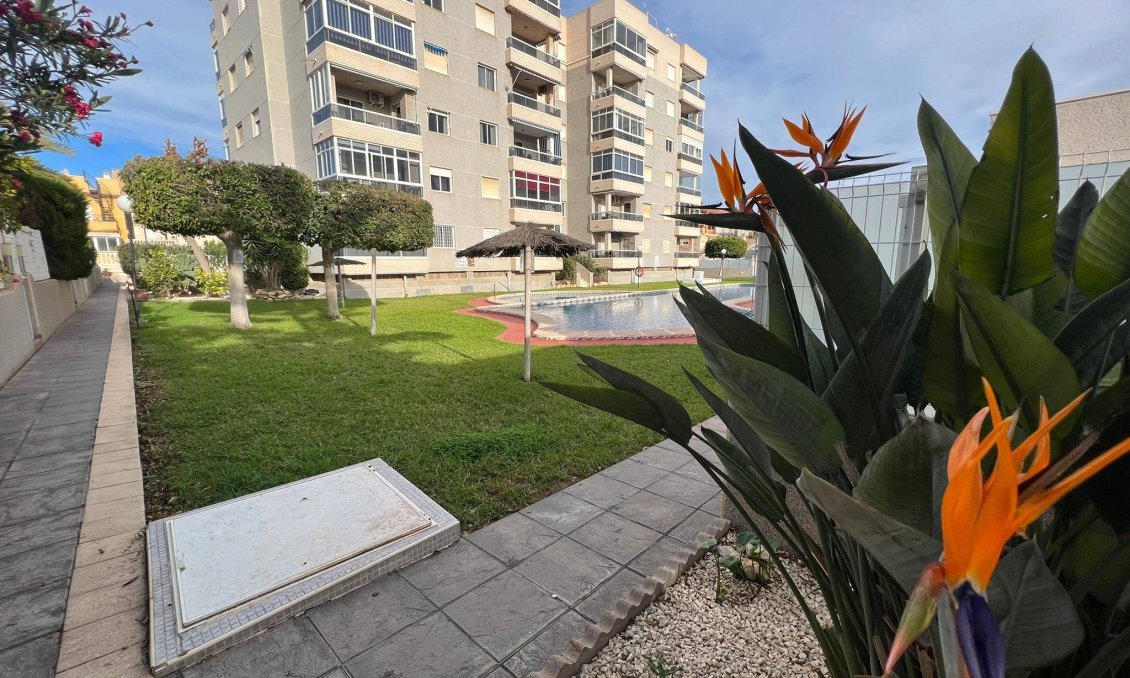 Wiederverkauf - Wohnung -
Torrevieja - Aguas Nuevas