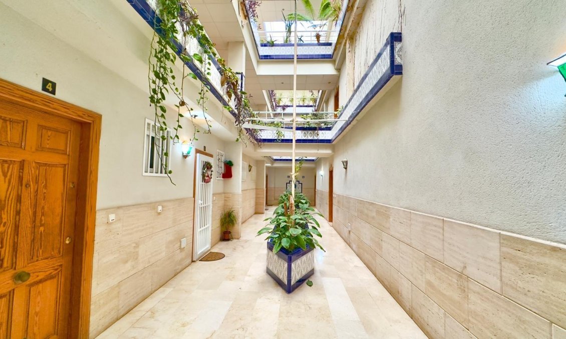 Segunda mano - Ático -
Torrevieja - Centro